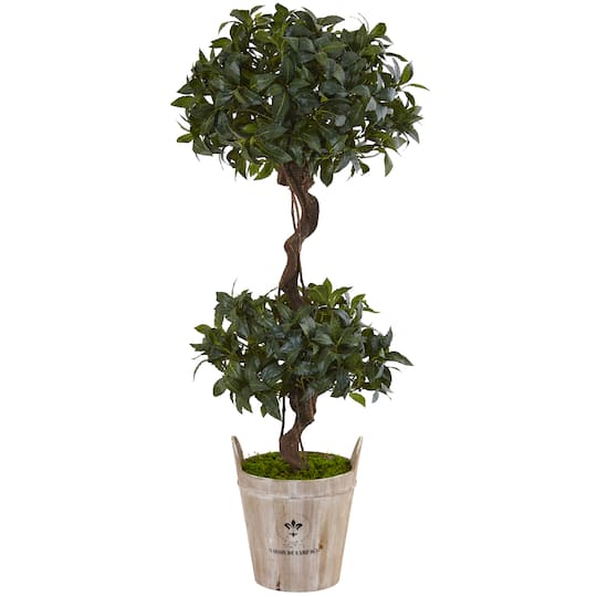 Michaels, 4.5ft. Sweet Bay Double Topiary Tree in Farmhouse Planter – Category: Trees & Floor Plants